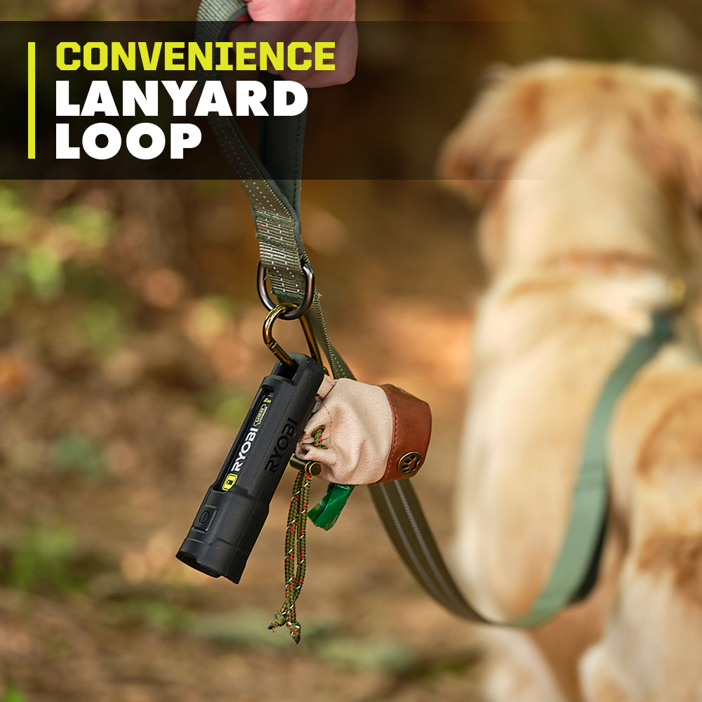 USB Lithium Mini LED Flashlight (2-Pack)